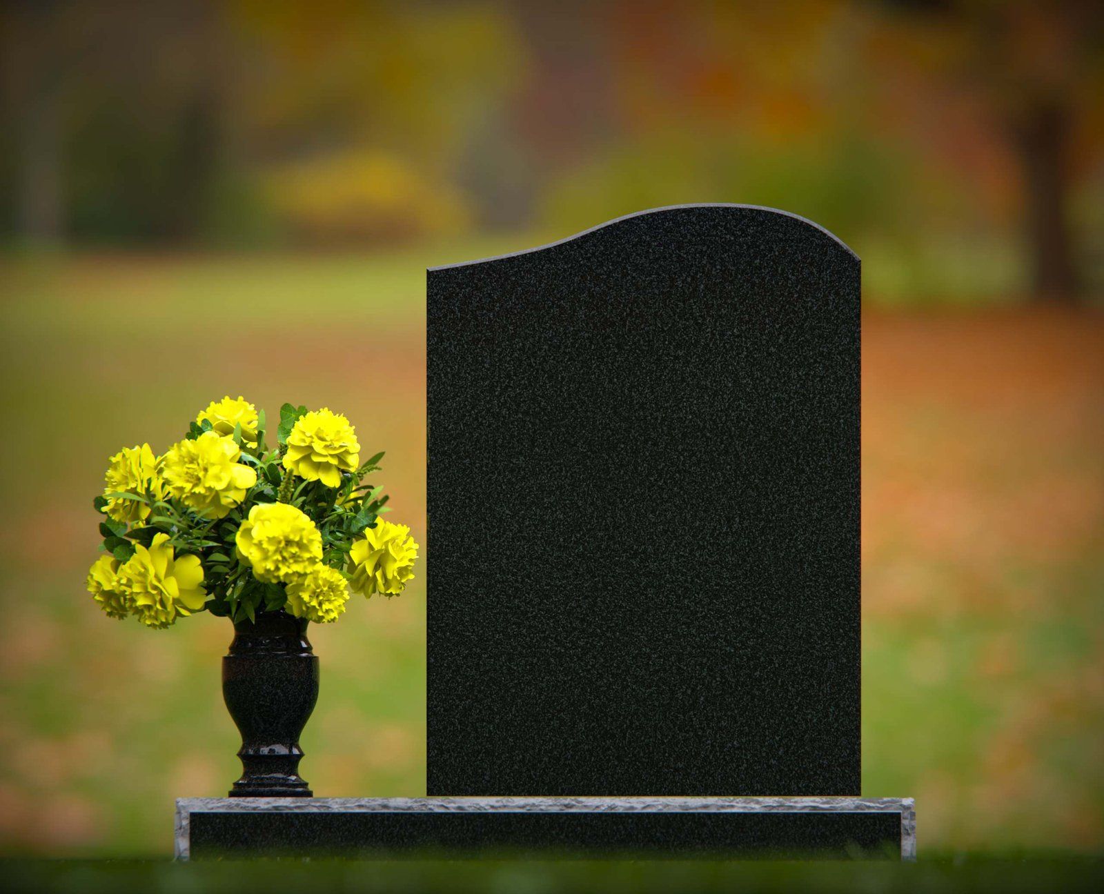 Single Upright Granite Headstone with Serpentine Top